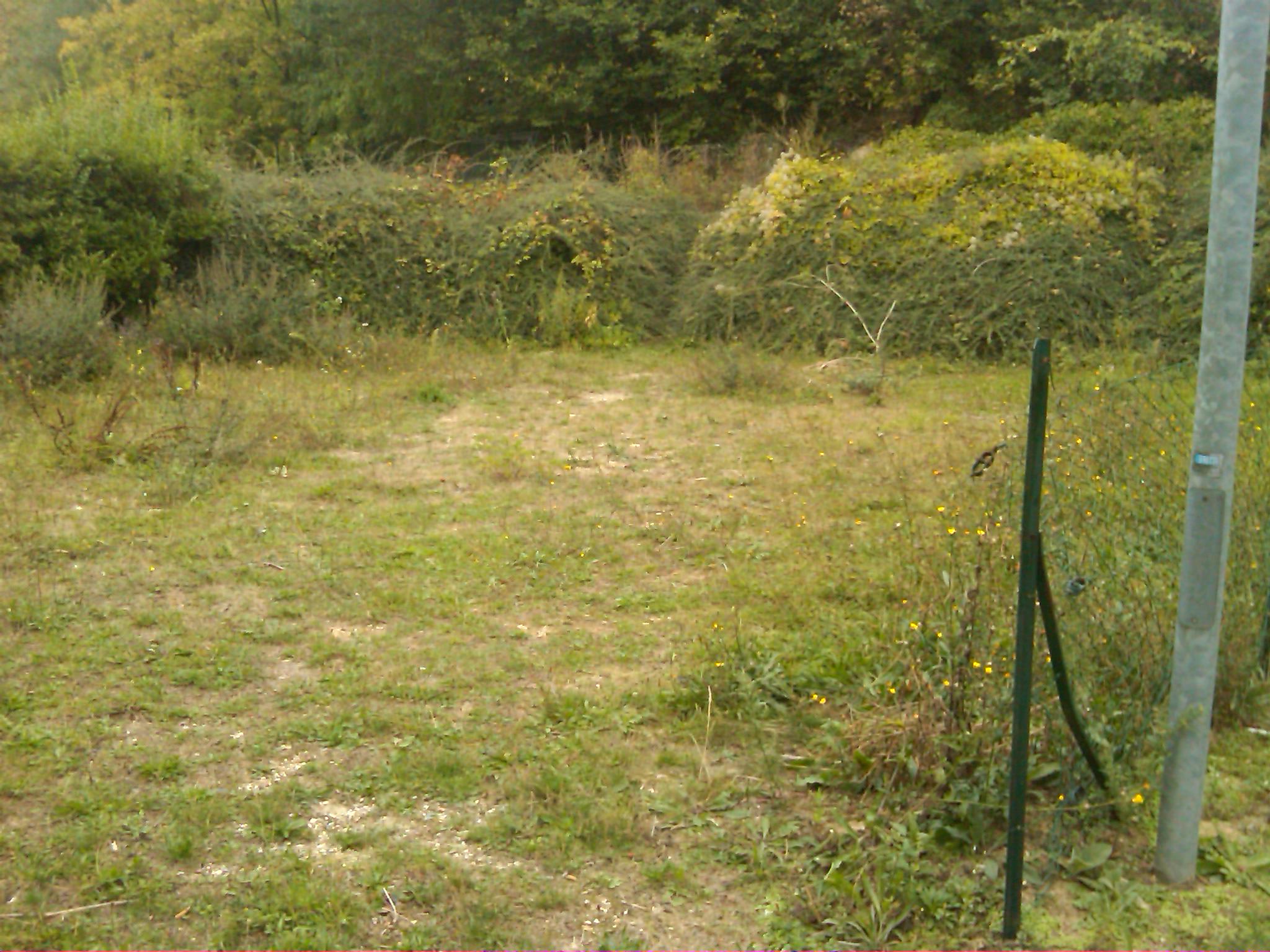 espace vert - terrain de boules